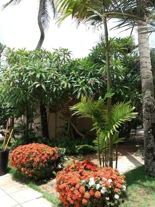 Eco Paradise Cumbuco 131 Dış mekan fotoğraf